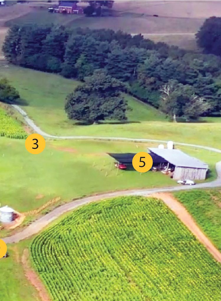 Sunflower Festival map, section 2